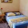 Гостиница Guest house berendei2000, фото 7