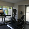 Отель LYX Suites at Bayshore Grove in Coconut Grove, фото 13