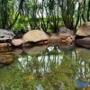 Отель Jinhong HotSpring Garden Hotel, фото 12