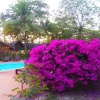 Отель Koh Jum Lodge, фото 10