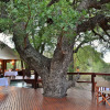 Отель Hamiltons Tented Camp, фото 19