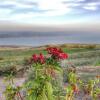 Отель Sea Of Galilee Site, фото 18