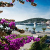 Отель Bilja - 20 M From the sea - A2, фото 13