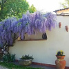 Отель B&B la Borraina, фото 40