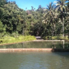 Отель Bogani-Homestay, фото 20