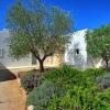 Отель Il Trullo dell'Ulivo Bianco, фото 27