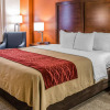 Отель Comfort Inn & Suites Lakeland North I-4, фото 21