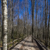 Отель Huilo Huilo Nawelpi Lodge, фото 18