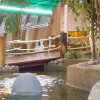 Отель Park Royal Beach Ixtapa - All Inclusive, фото 24