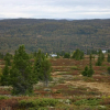 Отель Fagerhøy Fjellstue, фото 16