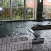 Отель Suehiro Onsen, фото 1