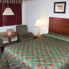 Отель Safari Inn, фото 22