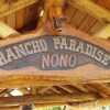 Отель Rancho Paradise - Adults  Only, фото 28