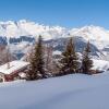 Отель Chalet Panorama, фото 16