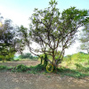Отель Wilderness Camp 200mtr from Devaliya Park, фото 26