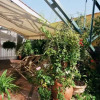 Отель Loft De Cannes Bed And Breakfast, фото 6