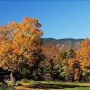 Отель Beaver Pond Farm Inn, фото 1