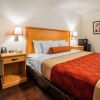 Отель Econo Lodge Provo, фото 19