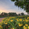 Отель The Imperial Farm Retreat Jaipur - A weekend Gateway, фото 15