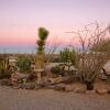 Отель Joshua Tree Ranch House, фото 7