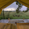 Отель Elewana Elephant Pepper Camp, фото 5
