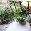 Отель Guest House Old Tiflis 5, фото 21