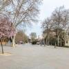 Отель Minty Stay 1bd -El Retiro, фото 1