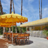 Отель Parker Palm Springs, фото 38
