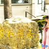 Отель Changqi Elegant Restaurant High-end Homestay (Nanyue Scenic Area), фото 4