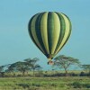 Отель Serengeti Serena Safari Lodge, фото 44