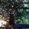 Отель Plaza Mumbai, фото 4