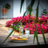 Отель Comfort Stay Spata, фото 8