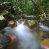 Отель Daintree Cascades, фото 8