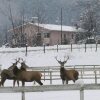 Отель BB Les Chalets, фото 27