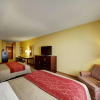Отель Comfort Inn & Suites Donna near I-2, фото 3