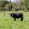 Отель Breaches Barn, фото 16