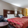 Отель Econo Lodge, фото 25