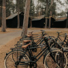 Отель Nature Link Resort, фото 21