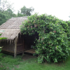 Отель Pai Bamboo Hut, фото 26