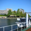 Отель Biwako Grand Hotel, фото 16