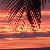 Отель Reef Motel - Aitutaki, фото 13