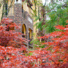 Отель Yunjing Holiday Hotel, фото 6