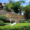 Отель Chomview Resort, фото 16