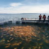 Отель Yacht Lago Titicaca, фото 20