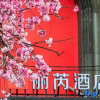 Отель ： Radisson RED Kunming Green Lake, фото 6
