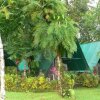 Отель Corcovado Adventures Tent Camp, фото 31