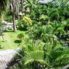 Отель La Barquita Beach Hostel, фото 26