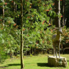Отель Hollicarrs - Honeycomb Lodge, фото 10