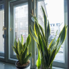 Отель Provenir Home Strzelecka 25, фото 1