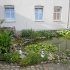 Отель Pension Belaus Hof, фото 14